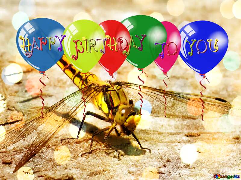 Dragonfly happy birthday card №24962