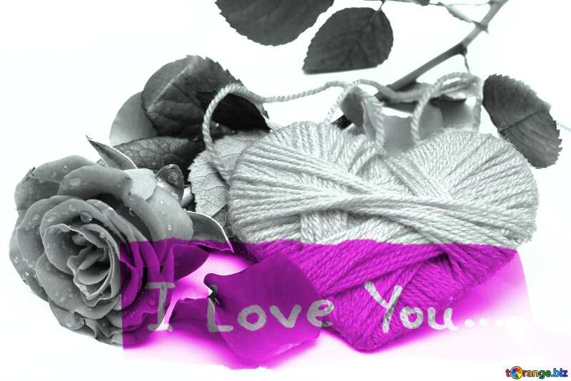 I love you inscription  Heart flower rose №16856