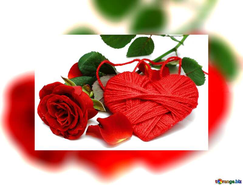 Heart flower rose red  fuzzy border №16856