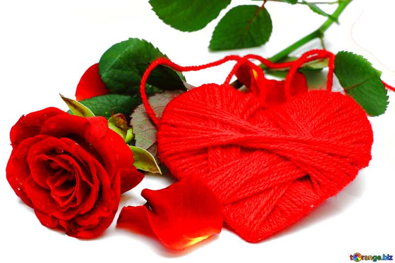 Heart flower rose  template №16856