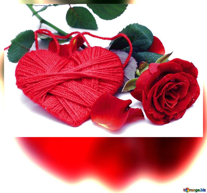 Heart flower rose  bright blank card №16856