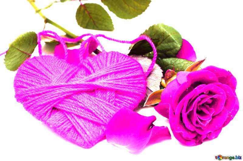 Heart flower rose  violet  blurring №16856