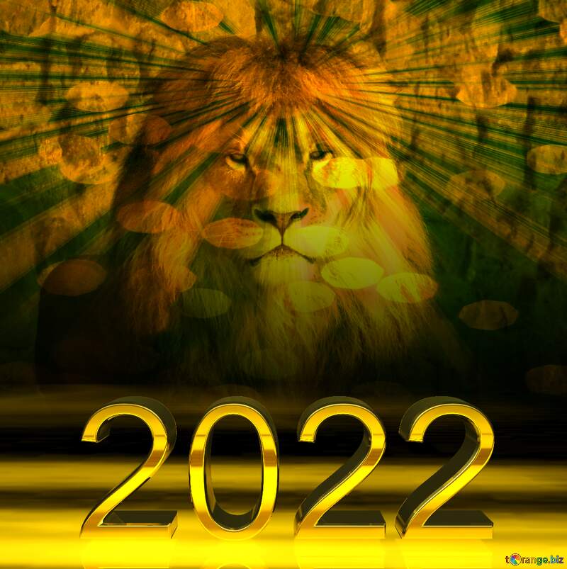 lion 2022  sunlight rays №44974