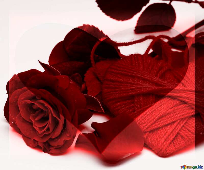 Heart flower rose  red love №16856