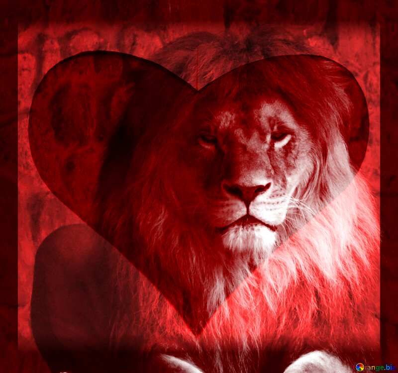 lion heart red black love №44974
