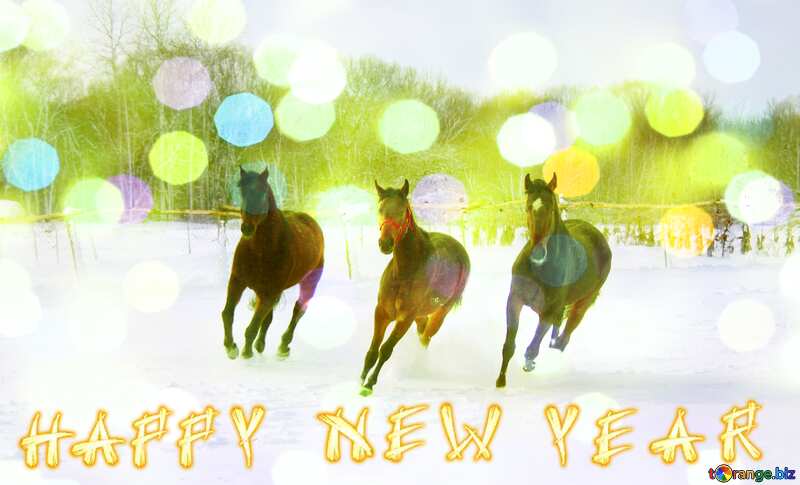 Three horses in the snow Happy New Year №3982