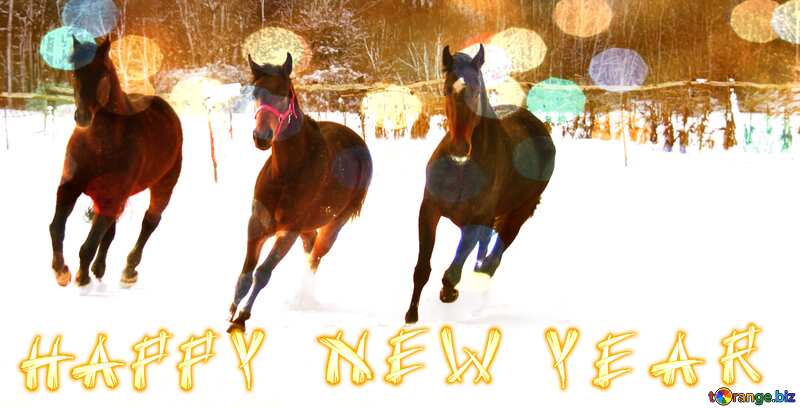 Three horses in the snow Happy New Year Background №3982