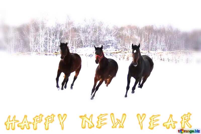 Three horses in the snow Happy New Year white background №3982