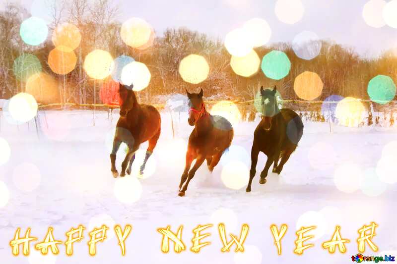 Three horses in the snow  Happy Year Card Background Christmas Bokeh №3982
