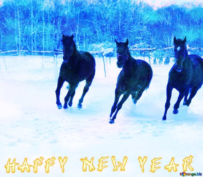 Three horses in the snow Snowflakes Happy New Year Background №3982