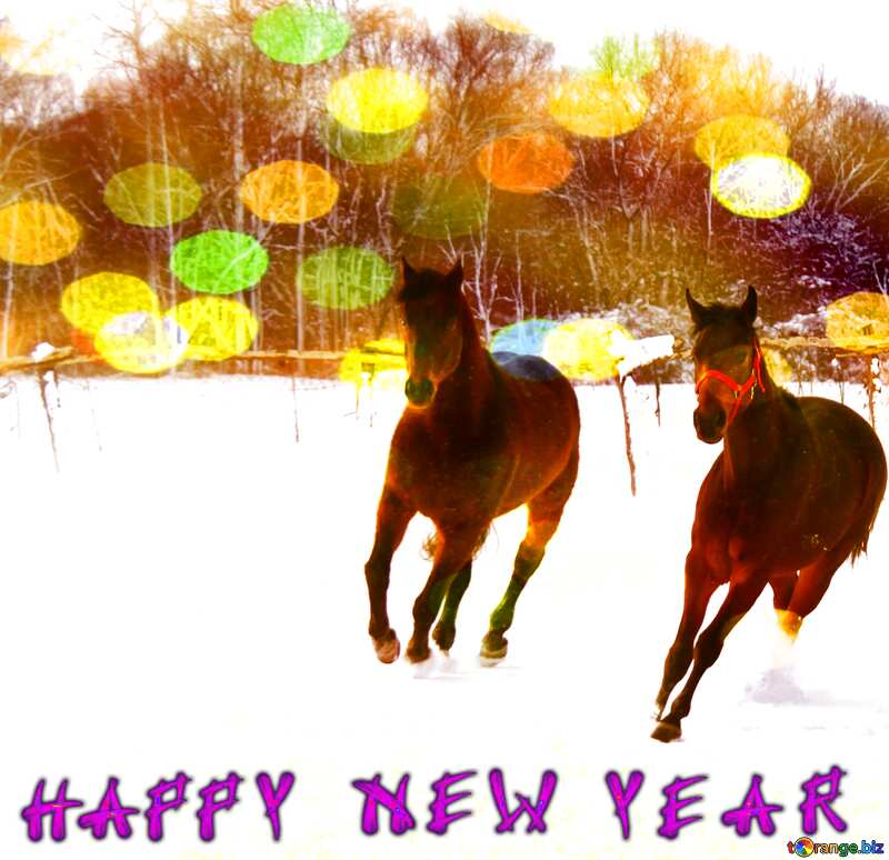 Two horses in the snow happy new year №3982