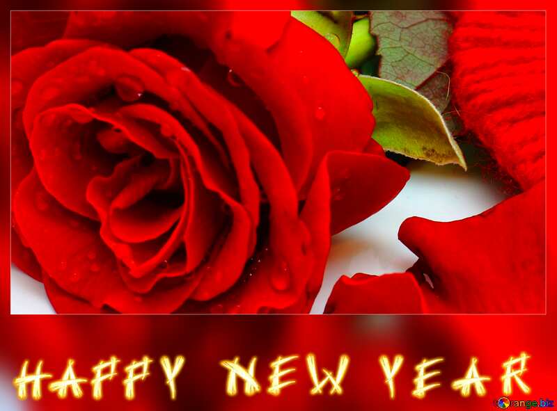 Heart flower rose happy new year №16856