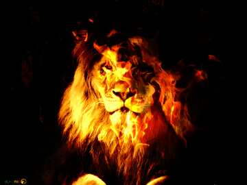 FX №185022 lion Fire