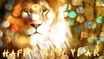 FX №185040 lion happy new year