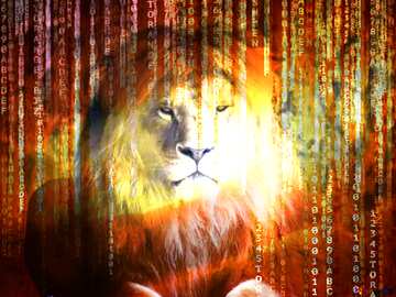 FX №185014 lion binary code technology background