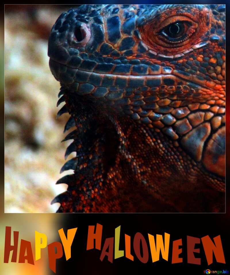 Iguana happy halloween №11081