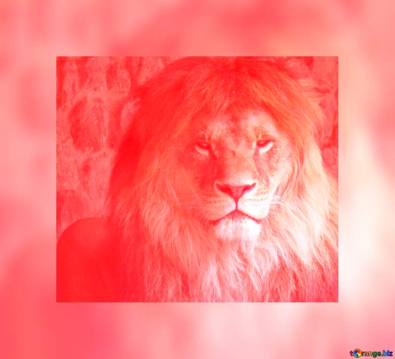 lion red fuzzy border №44974
