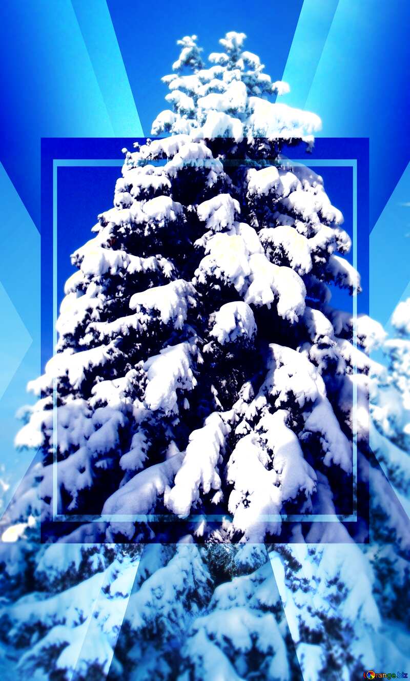 Snow Christmas tree covered snow  happy New year    powerpoint website infographic template banner layout design responsive brochure business №10551