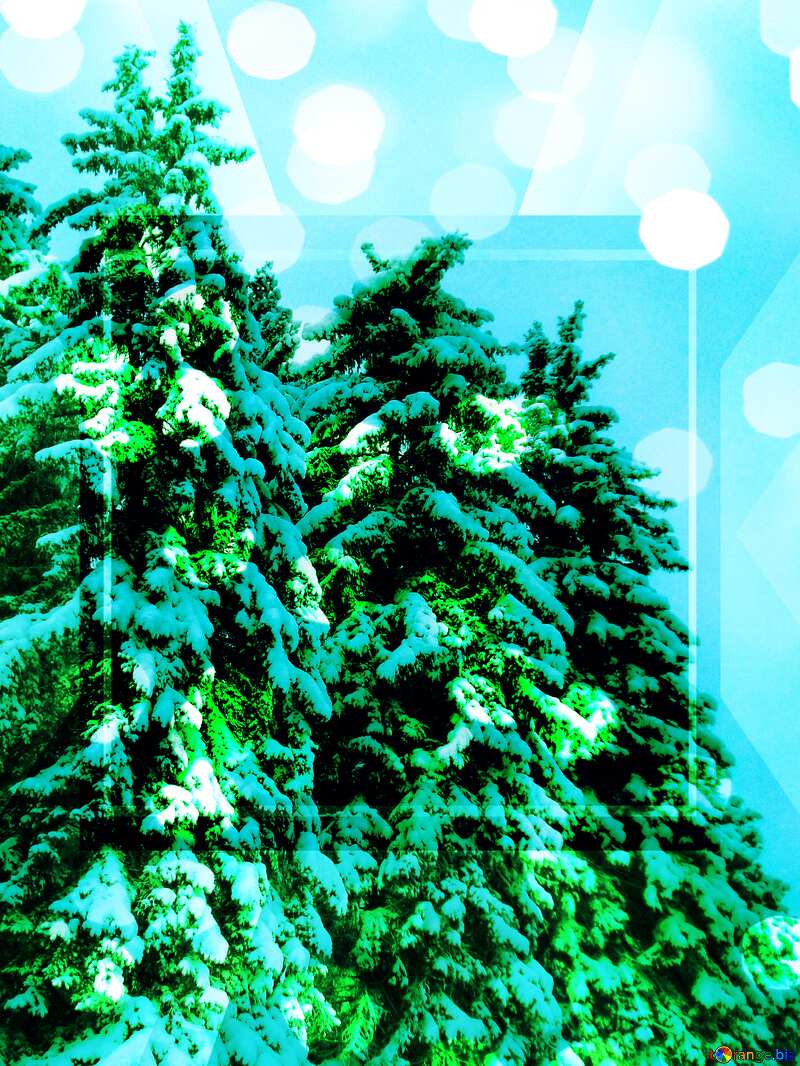 Snow  green pine tree  Snow gold digits   powerpoint website infographic template banner layout design responsive brochure business №10529