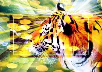 FX №186460  Beautiful tiger Background powerpoint website infographic template banner layout design responsive ...