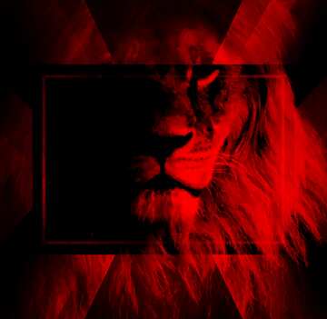FX №186481  Red lion portrait powerpoint website infographic template banner layout design responsive brochure ...