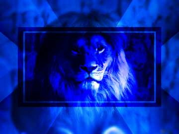 FX №186468  A lion dark blur blue powerpoint website infographic template banner layout design responsive...