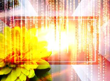 FX №186146 Lights template Yellow Flower Binary Code Technology Background   powerpoint website infographic...