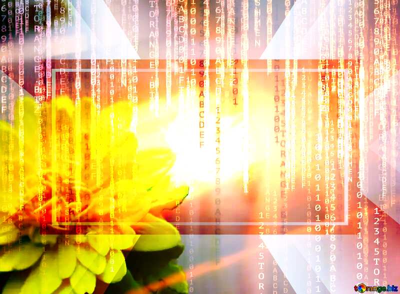 Lights template Yellow Flower Binary Code Technology Background   powerpoint website infographic template banner layout design responsive brochure business №48635