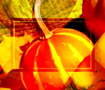 FX №187746  powerpoint website infographic template banner layout design responsive brochure business Pumpkins ...