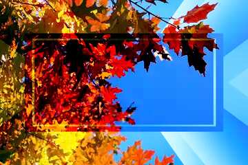 FX №187244 Autumn leaves background powerpoint website infographic template banner layout design responsive...
