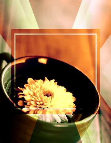 FX №187612 Flower tea powerpoint website infographic template banner layout design responsive brochure business