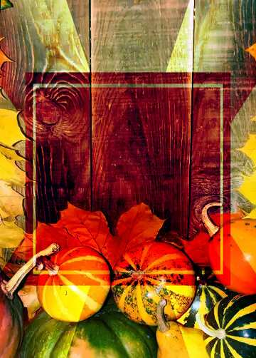 FX №187771 Autumn background with pumpkins below powerpoint website infographic template banner layout design...