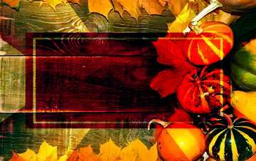 FX №187773 Autumn background with pumpkins powerpoint website infographic template banner layout design...