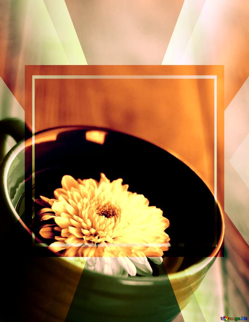Flower tea powerpoint website infographic template banner layout design responsive brochure business №36986