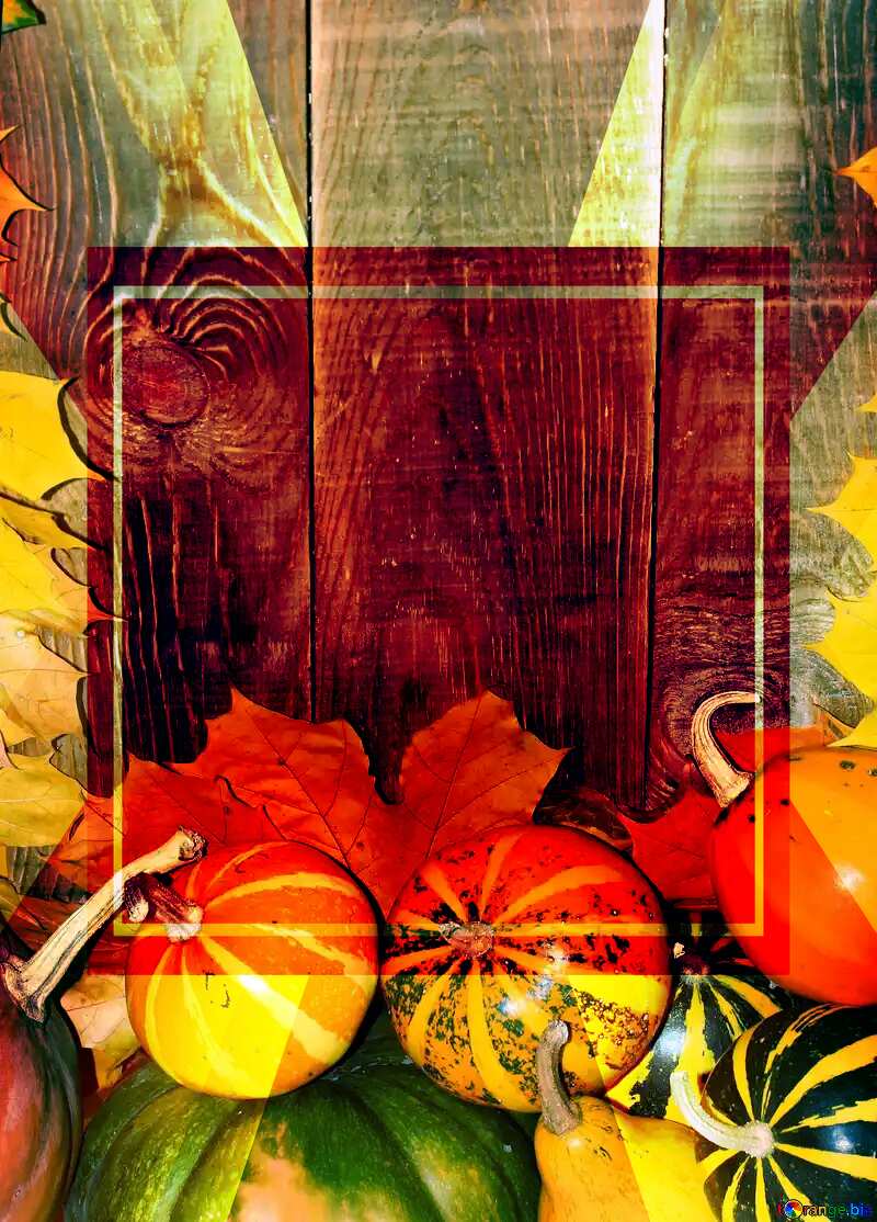 Autumn background with pumpkins below powerpoint website infographic template banner layout design responsive brochure business №35229