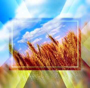 FX №188982 Wheat field powerpoint website infographic template banner layout design responsive brochure...