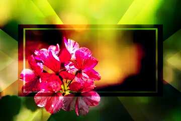 FX №188312 Beautiful flower frame powerpoint website infographic template banner layout design responsive...