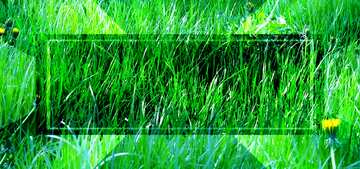 FX №188446 Green grass powerpoint website infographic template banner layout design responsive brochure...
