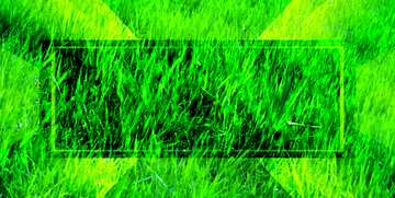 FX №188447 Lawn grass powerpoint website infographic template banner layout design responsive brochure business