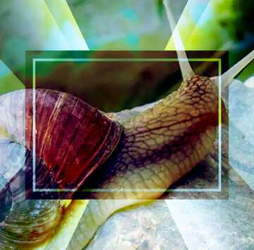 FX №188887 Horned snail powerpoint website infographic template banner layout design responsive brochure...