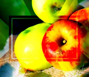FX №188126 Still life with apples powerpoint website infographic template banner layout design responsive...