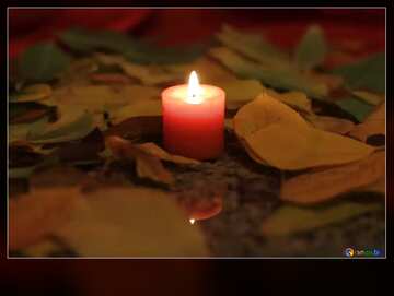 FX №188062 Candle grave autumn leaves dark