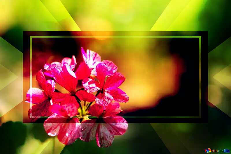Beautiful flower frame powerpoint website infographic template banner layout design responsive brochure business №32400