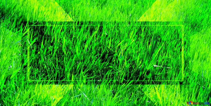 Lawn grass powerpoint website infographic template banner layout design responsive brochure business №31127