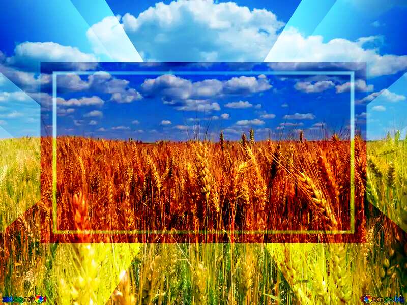 Flag of Ukraine powerpoint website infographic template banner layout design responsive brochure business №27250