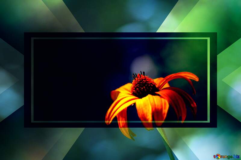  Background with flower template card frame banner layout design brochure business №33467