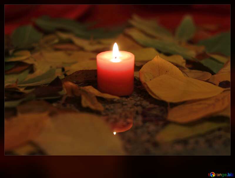 Candle grave autumn leaves dark №24255