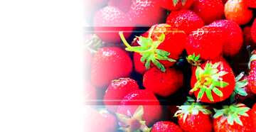FX №189606 Background on the desktop strawberries powerpoint website infographic template banner layout design ...