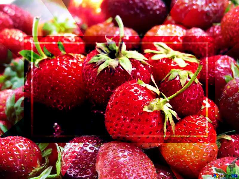 Strawberry picking season powerpoint website infographic template banner layout design responsive brochure business №22377