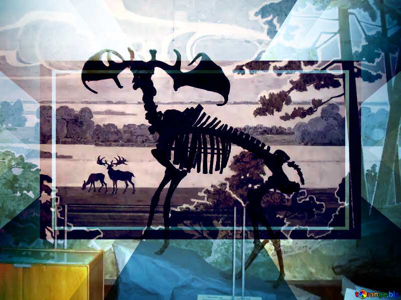 Prehistoric elk skeleton powerpoint website infographic template banner layout design responsive brochure business №21471